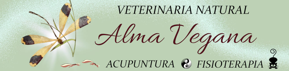 Veterinaria Natural Alma Vegana